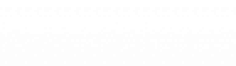 DAYEL DIESEL – Diesel test systems, common rail, unit pump, EUI EUP ...
