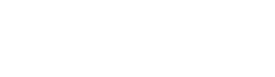 DAYEL DIESEL – Diesel test systems, common rail, unit pump, EUI EUP ...